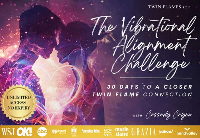 twin flame program